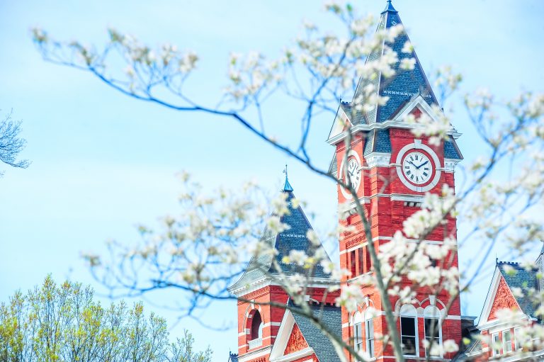 Photo of Samford Hall through a tree in spring.